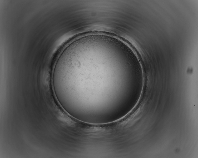 X0000102531115200808081445