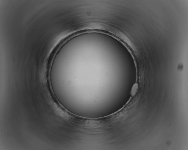 X0000102531116200808081445