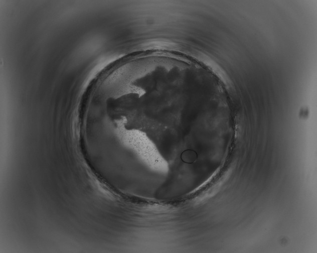 X0000102531117200808081445