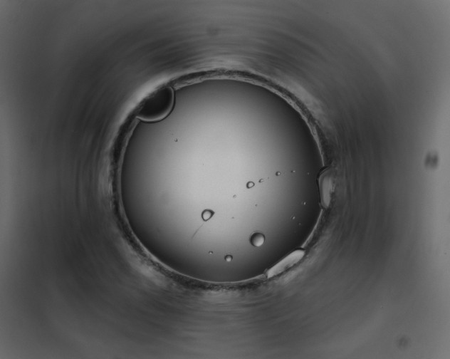 X0000102531118200808081445
