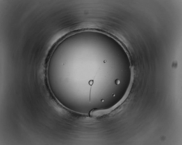 X0000102531119200808081445