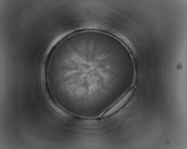 X0000102531120200808081445