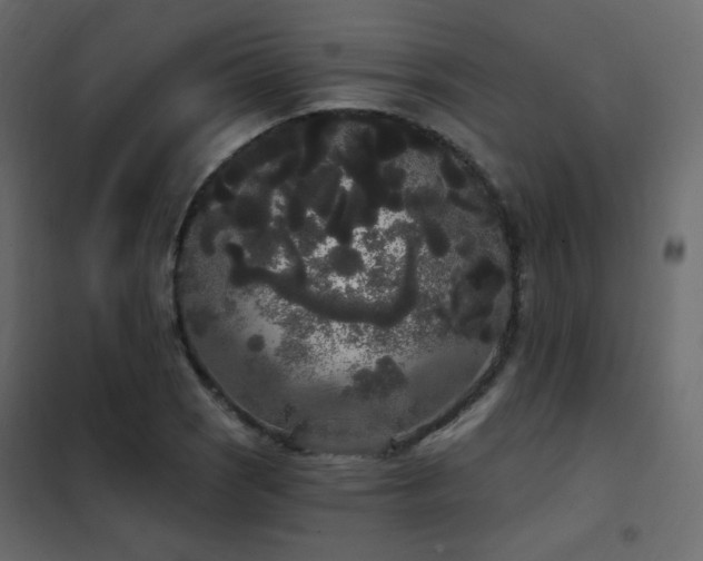 X0000102531121200808081445