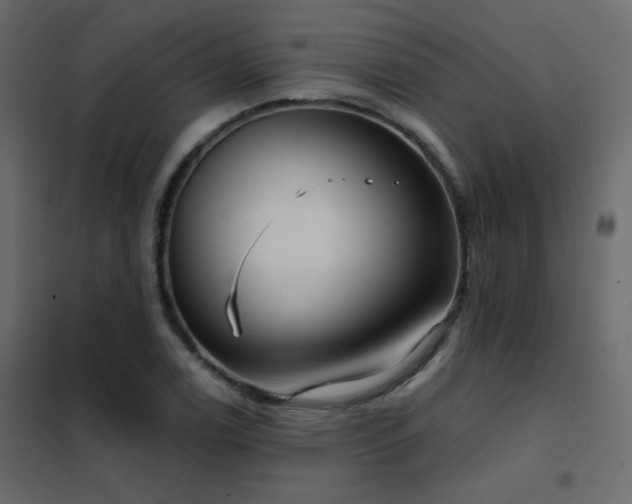 X0000102531122200808081445