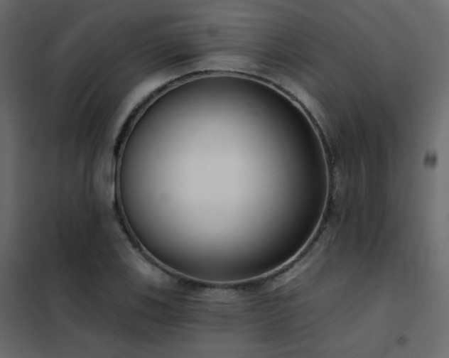 X0000102531123200808081445