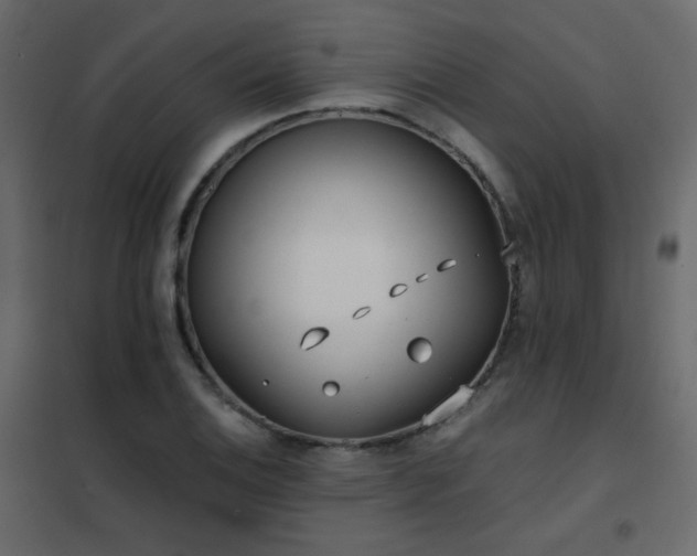 X0000102531124200808081445