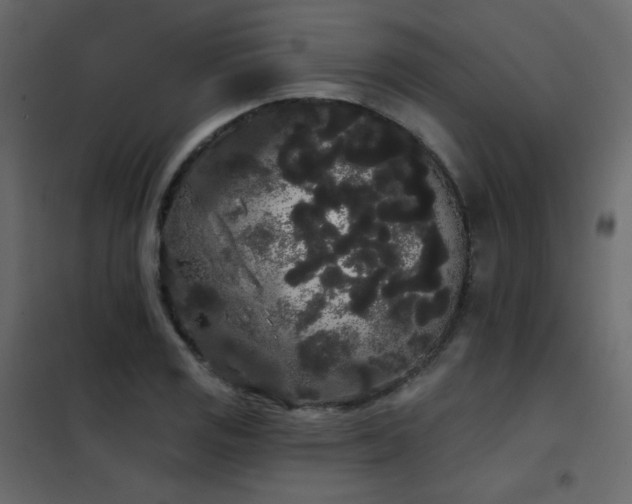X0000102531125200808081445