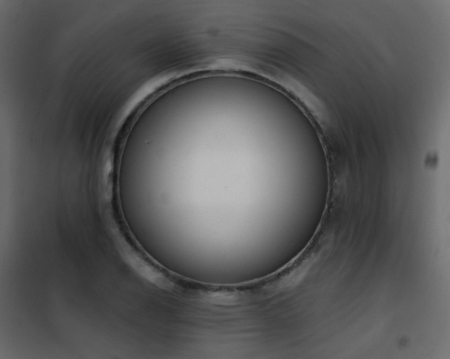 X0000102531126200808081445