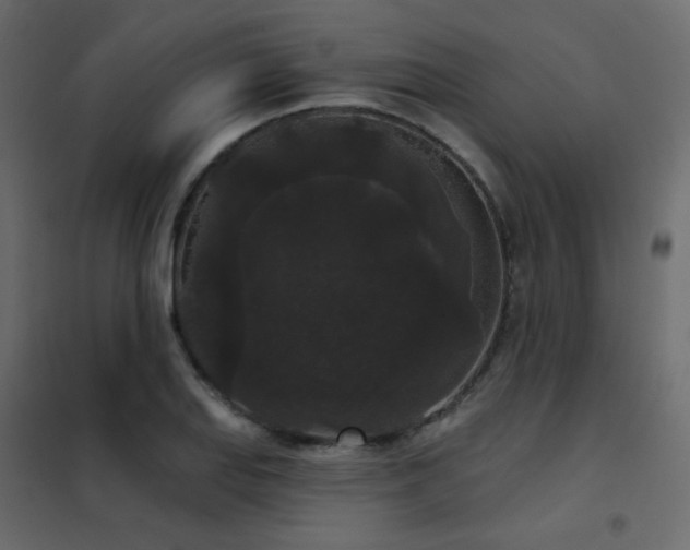 X0000102531127200808081445