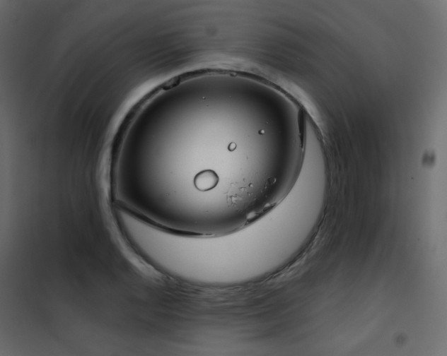 X0000102531128200808081445