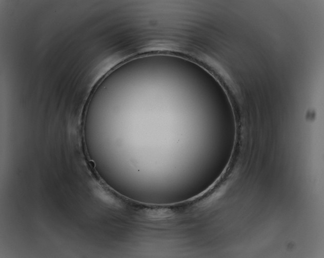 X0000102531129200808081445