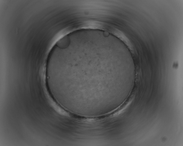 X0000102531130200808081445