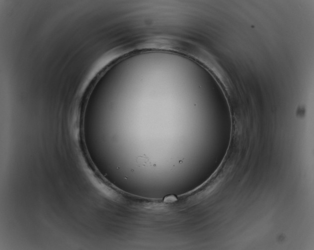 X0000102531131200808081445