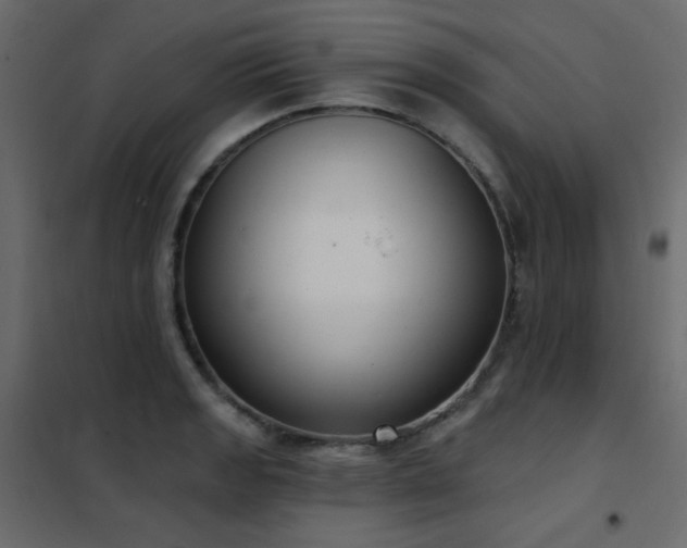 X0000102531133200808081445