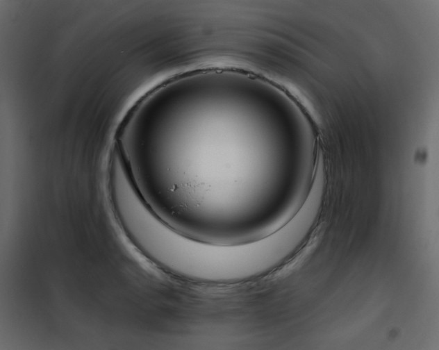 X0000102531134200808081445
