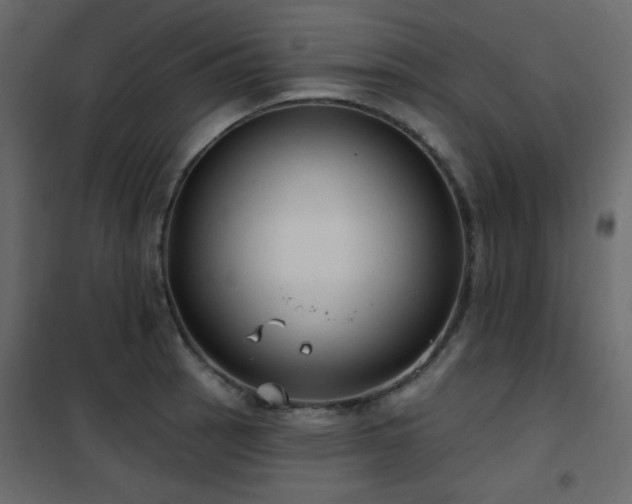 X0000102531137200808081445