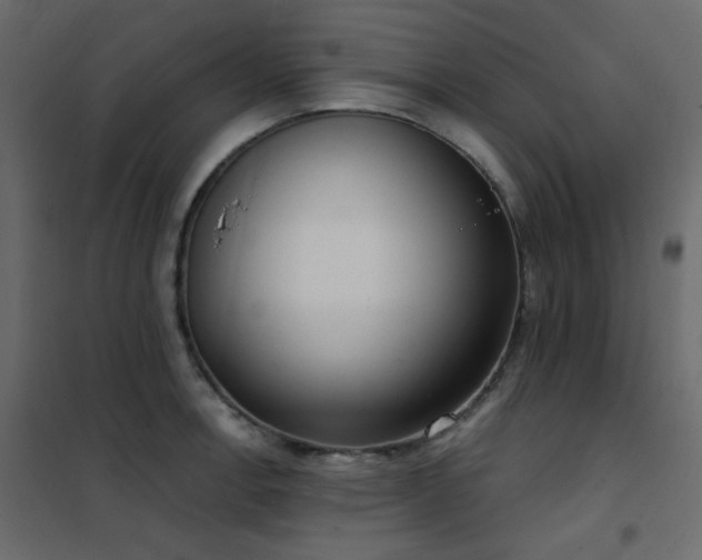 X0000102531138200808081445
