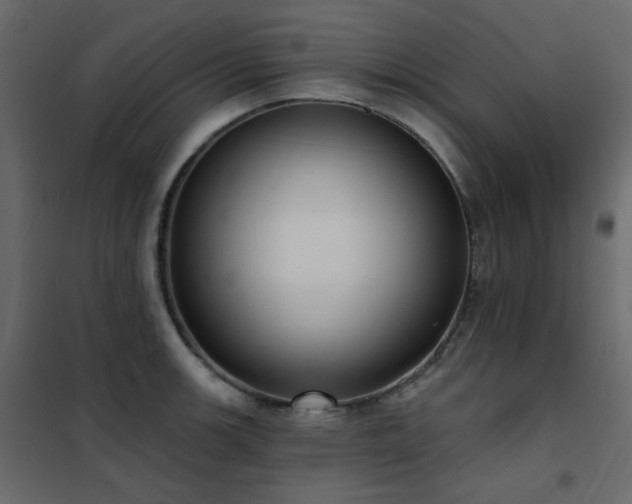 X0000102531139200808081445