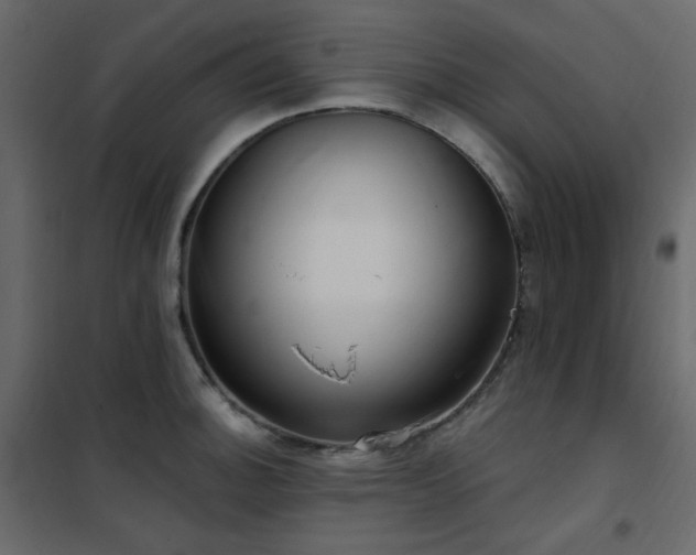 X0000102531140200808081445