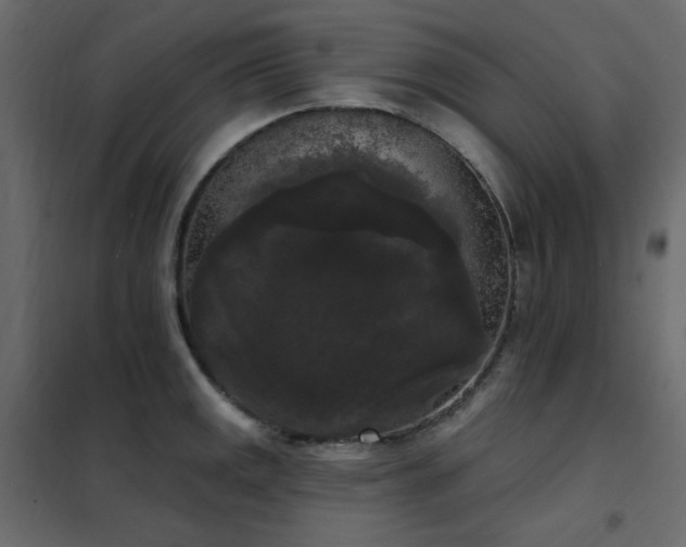 X0000102531141200808081445