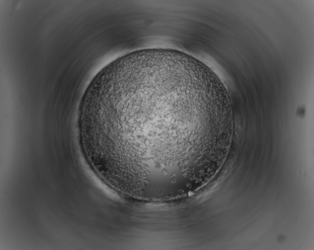 X0000102531142200808081445