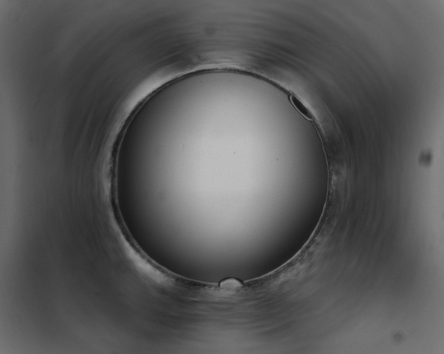X0000102531143200808081445