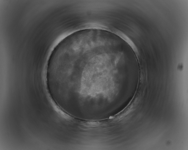 X0000102531144200808081445