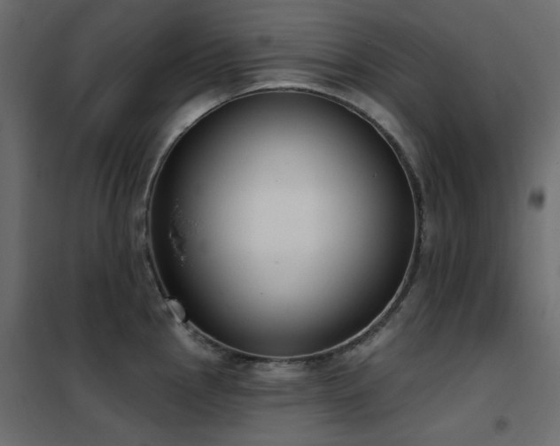 X0000102531145200808081445