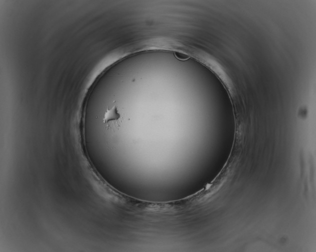 X0000102531146200808081445