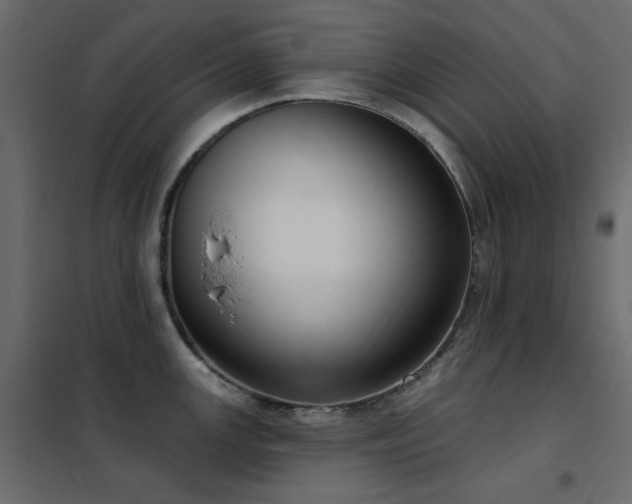 X0000102531147200808081445