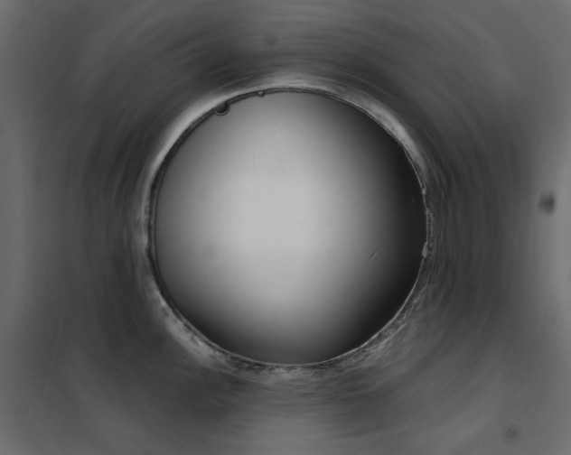 X0000102531148200808081445