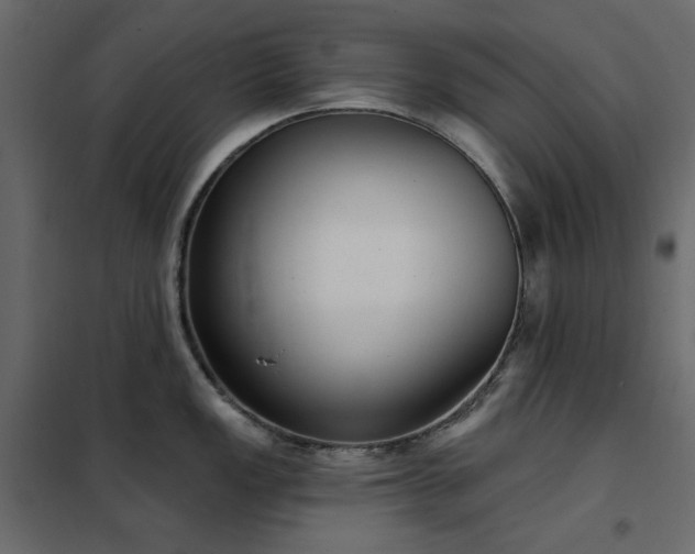X0000102531149200808081445