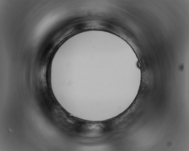 X0000102531150200808081445