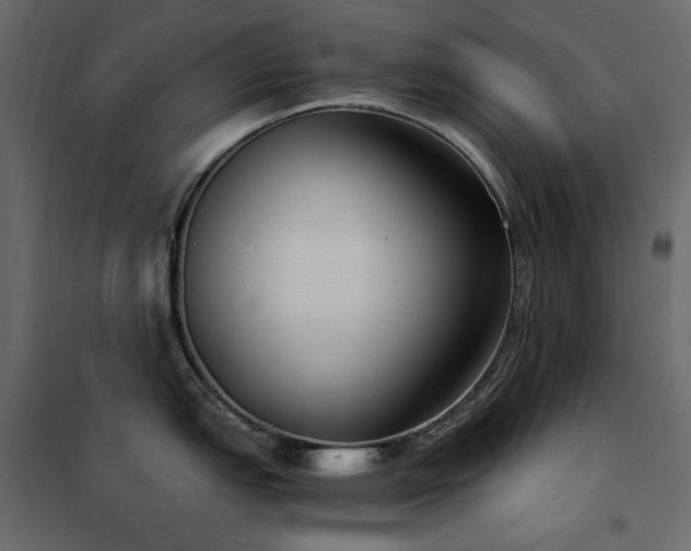 X0000102531151200808081445