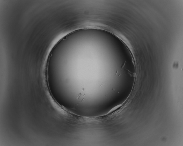 X0000102531152200808081445