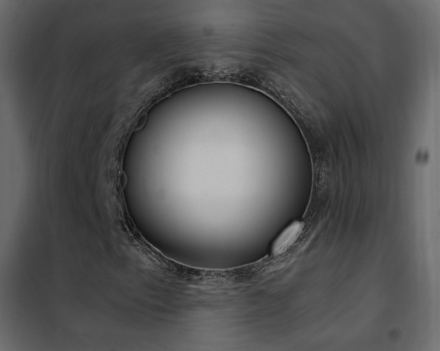 X0000102531153200808081445