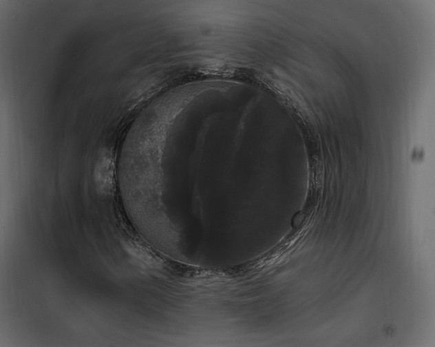 X0000102531154200808081445