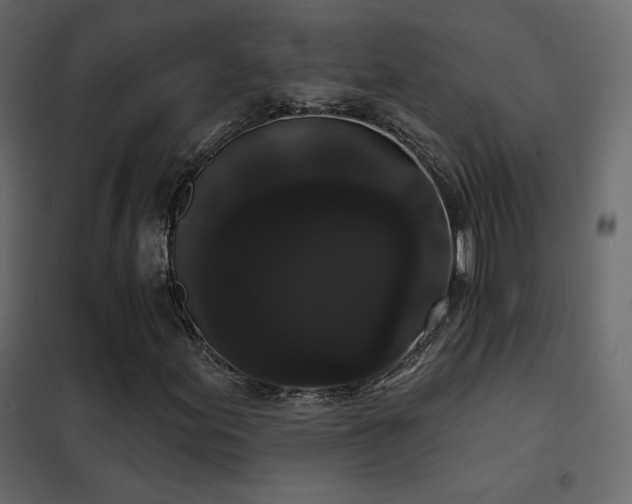X0000102531155200808081445