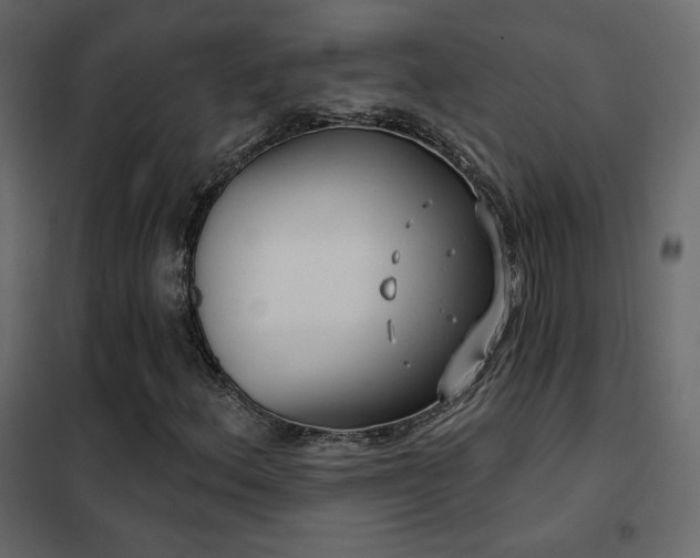 X0000102531156200808081445