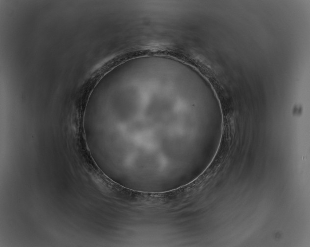 X0000102531158200808081445