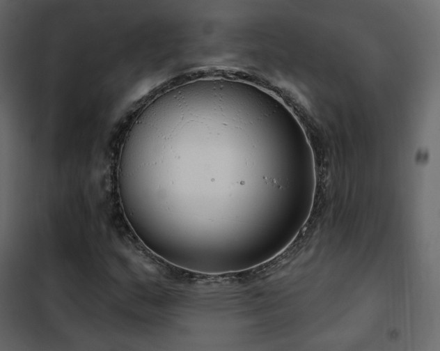 X0000102531159200808081445