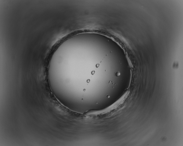 X0000102531160200808081445