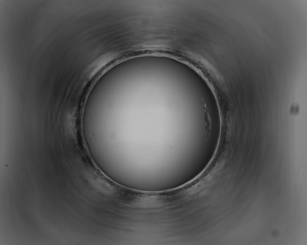 X0000102531162200808081444