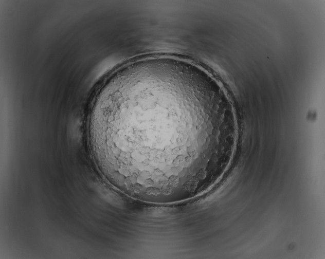 X0000102531163200808081444