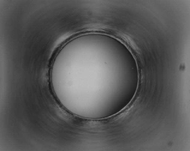 X0000102531164200808081444