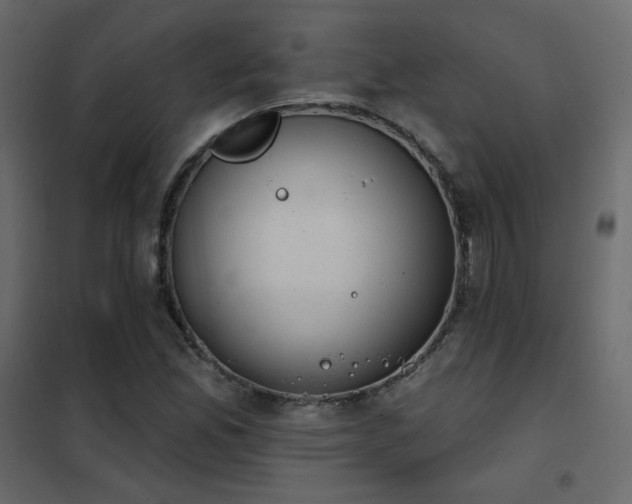 X0000102531165200808081444