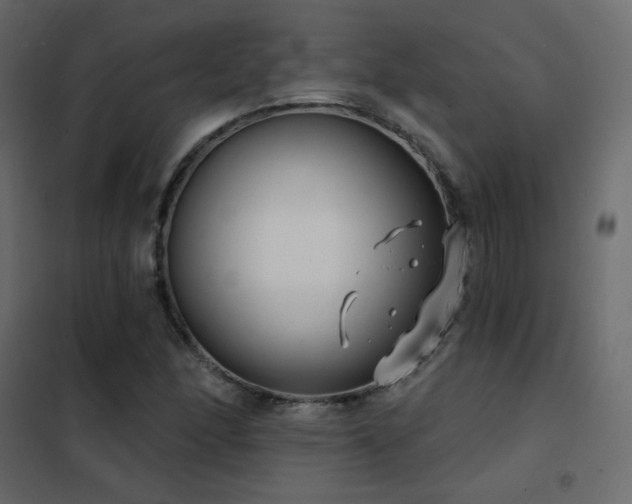 X0000102531166200808081444