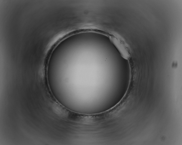 X0000102531167200808081444