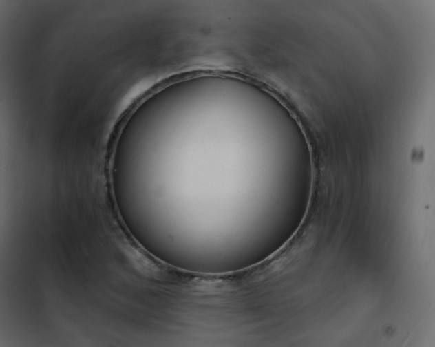 X0000102531168200808081444