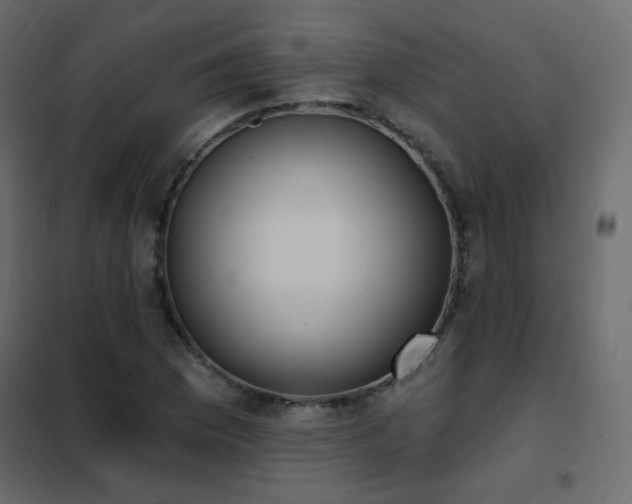 X0000102531169200808081444